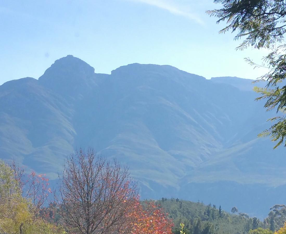 Bergview Guesthouse Swellendam Exterior photo